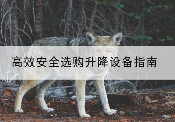 扎赉诺尔升降货梯厂家推荐-*安全选购升降设备指南