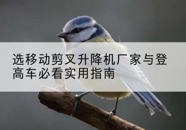 扎赉诺尔电动升降机厂家-选移动剪叉升降机厂家与登高车必看实用指南
