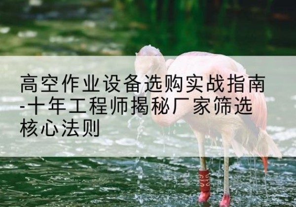 扎赉诺尔剪叉式升降机厂家-高空作业设备选购实战指南-十年工程师揭秘厂家筛选核心法则
